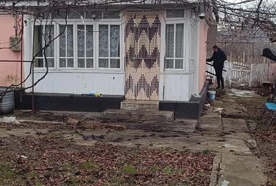 Teren de 2400 mp, în Goruni - 10
