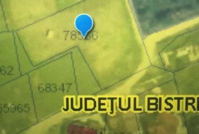 Spațiu comercial, în Petru Rareș - 3
