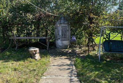Casă cu 3 camere în Decea - 5