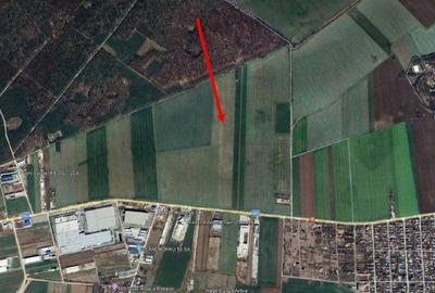 Teren de 2500 mp, în Brănești - 4