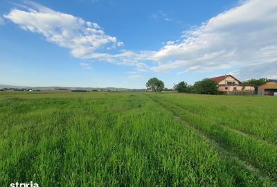 Teren de 500 mp, în Tractorul