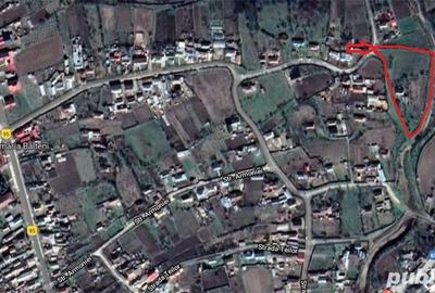 Teren de 2473 mp, în Bălteni - 5