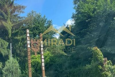 Casă cu 7 camere cu Teren 580 Mp în Valea Doftanei - 4