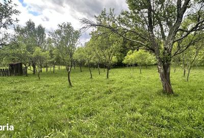 Teren de 3102 mp, în Vâlcea