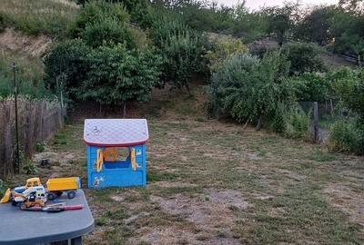 Teren de 801 mp, în Pianu - 1