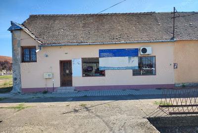 Spațiu comercial, de 50 mp, în Denta