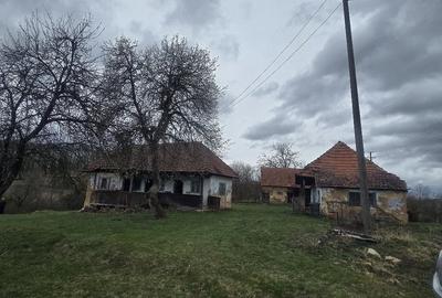 Casă cu Teren 1000 Mp în Stoieneasa - 4