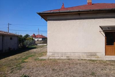 Casă cu Teren 1830 Mp în Central