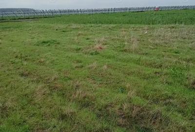 Teren de 27000 mp, în Vânători - 5