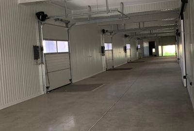 Spațiu industrial, de 1,700 mp, în Vest - 3