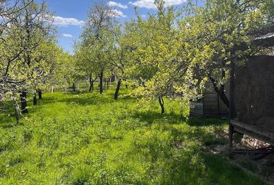 Casă cu Teren 4000 Mp în Căprioru