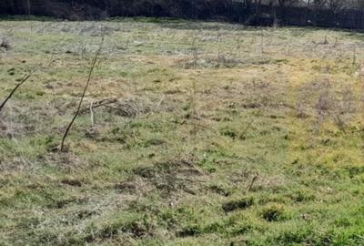 Teren de 2000 mp, în Chiroiu-Pământeni - 3