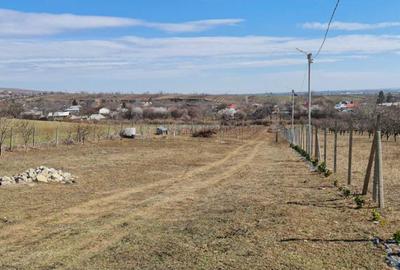 Teren Construcții intravilan de 3800 mp, în Gura Vadului