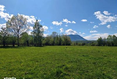 Teren de 5967 mp, în Glăjărie