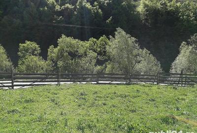 Teren de 1510 mp, în Leșu - 6