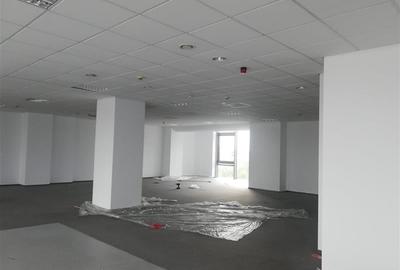 Birou, de 255 mp, în Aradului - 5