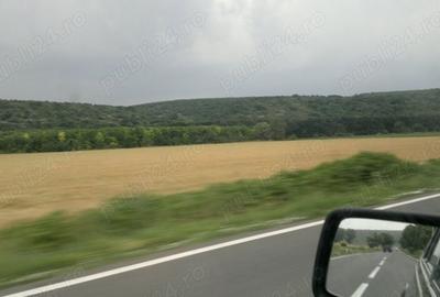 Teren de 1330 mp, în Răzoarele - 7