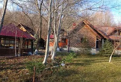 Casă cu 6 camere cu Teren 6500 Mp în Izvoarele
