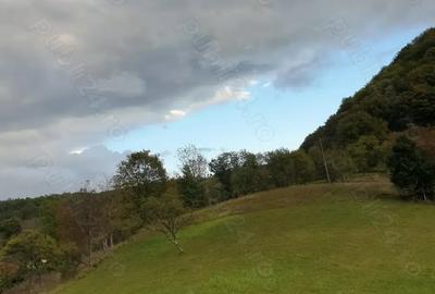 Teren de 8500 mp, în Hărțăgani - 2