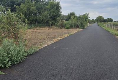 Teren de 768 mp, în Școlilor - 1