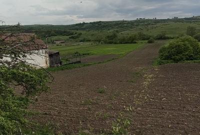 Teren de 4700 mp, în Merghindeal