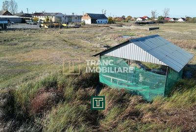 Teren extravilan de 36476 mp, în Socodor - 8
