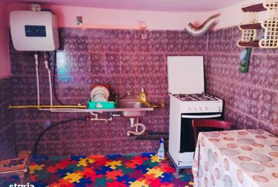 Casă cu 3 camere cu Teren 4302 Mp în Pleșoiu