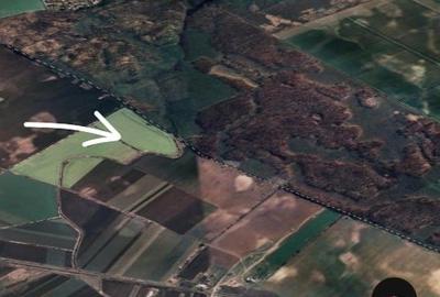 Teren agricol intravilan de 380000 mp, în Crevedia - 4