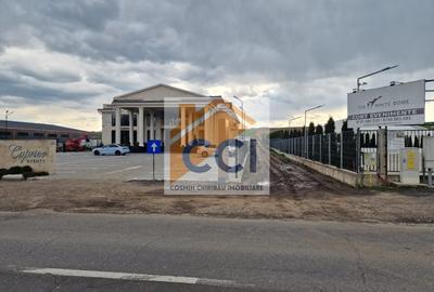Teren agricol intravilan de 10000 mp, în Vest - 15