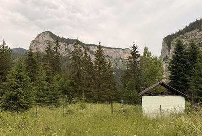Teren de 817 mp, în Lacu Roșu - 5