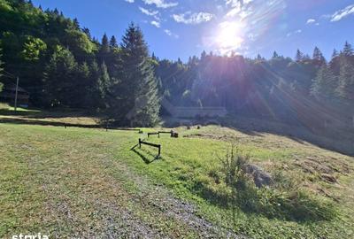 Teren de 2150 mp, în Lunca