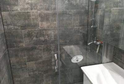 Apartament cu 3 camere semidecomandat, mobilat în Lazaret - 9