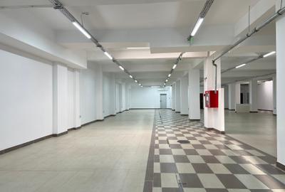 Spațiu comercial, de 823.5 mp, în Semicentral - 8