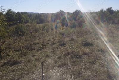 Teren de 8600 mp, în Baia de Fier - 9