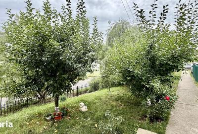 Casă cu 3 camere decomandat cu Teren 473 Mp în Aroneanu