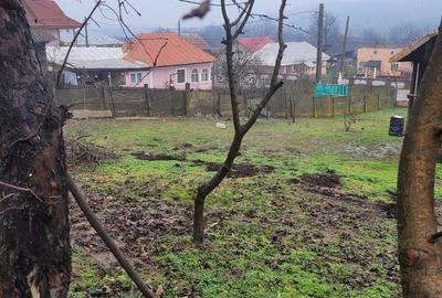 Casă cu Teren 2536 Mp în Peșteana-Jiu - 5