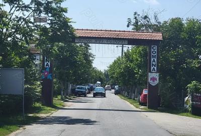 Teren de 250000 mp, în Comana - 2