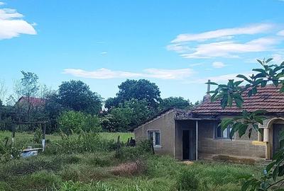 Casă individuală cu 2 camere cu Teren 550 Mp în Lipia - 1