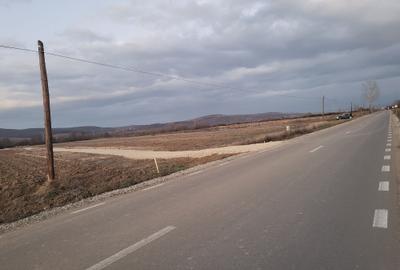 Teren de 500 mp, în Oșorhei - 3