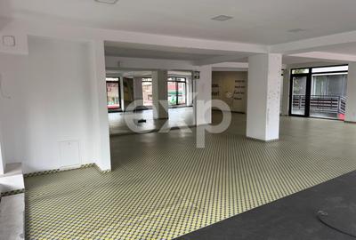 Spațiu comercial, de 450 mp, în Plopilor