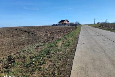 Teren de 7850 mp, în Horlești - 4