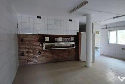 Spațiu comercial, de 105 mp, în Mirceștii Noi
