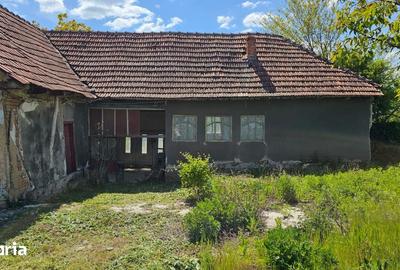 Casă cu 3 camere cu Teren 2880 Mp în Buteni - 4