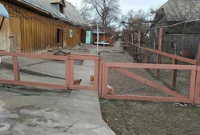 Casă cu 3 camere cu Teren 2000 Mp în Vulturești
