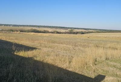 Teren Construcții de 1600 mp, în Cordău