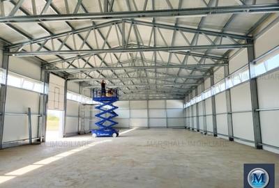Spațiu industrial, de 597.40002441406 mp, în Nord - 3