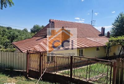 Casă cu 4 camere cu Teren 10426 Mp în Central