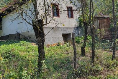 Casă cu 3 camere în Lugoj