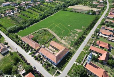 Teren de 16716 mp, în Traian Vuia - 6