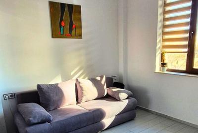Apartament cu 3 camere în Becaș - 4
